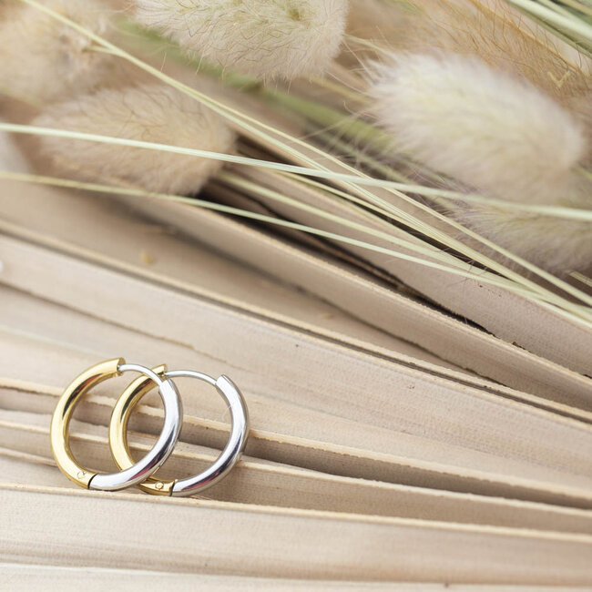 Beadle Multicolor oorbellen stainless steel