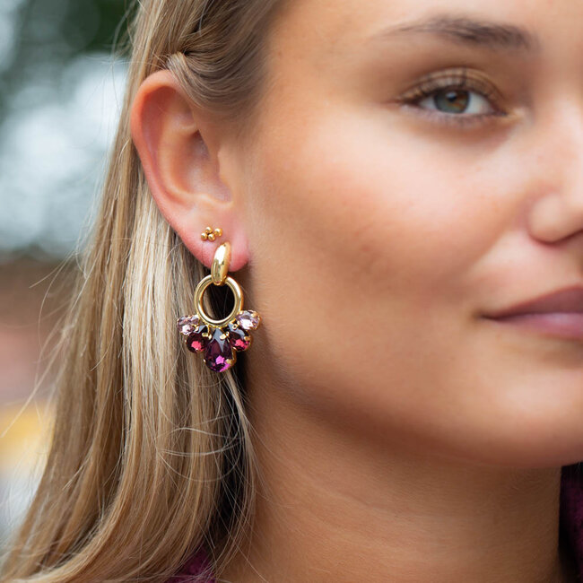 Biba Paars aubergine crystal oorbellen