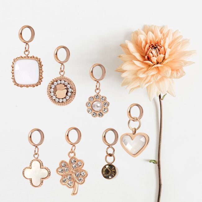 IXXXI Rosegoud connect bedels