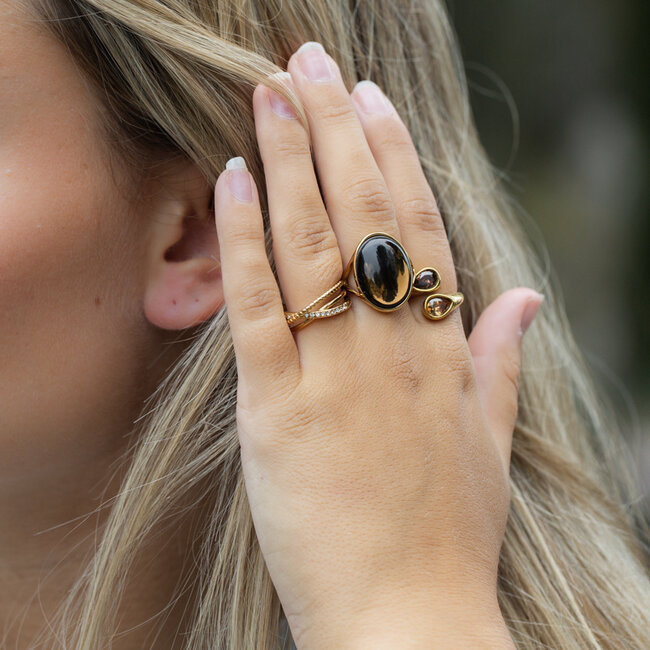 IXXXI Goud fame ringen