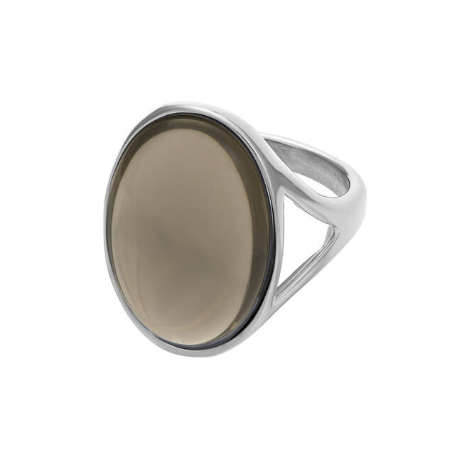 IXXXI Zilver fame ringen