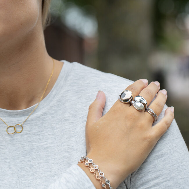 IXXXI Zilver fame ringen