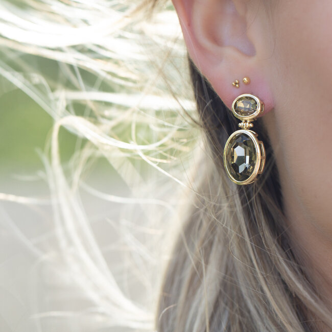 Biba Chique luxe crystal steen oorbellen