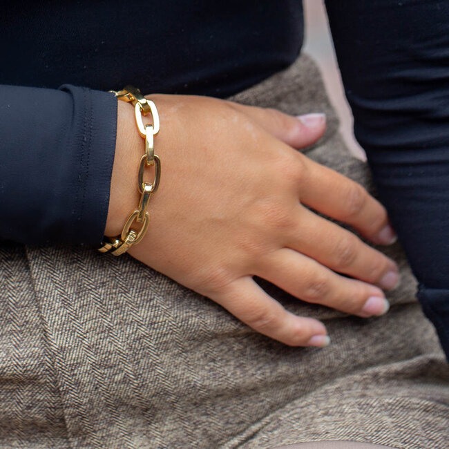 Prachtige tijdloze schakel armband goud