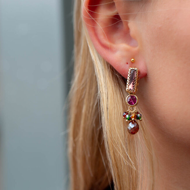 Biba Paarse aubergine crystal oorbellen met gekleurde kralen