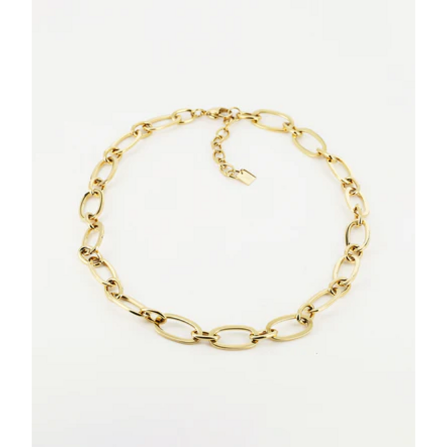 Trendy tijdloze ovaal Schakel Ketting