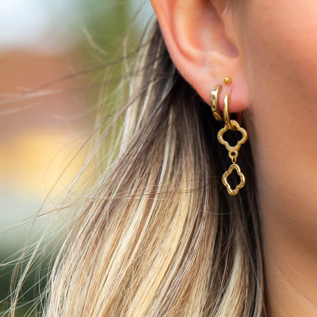 Day & Eve  Goudkleurige oorringen met dubbele klaver