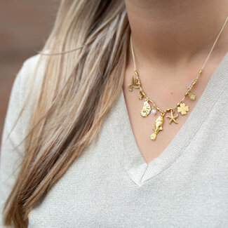 Beadle Golden goodies