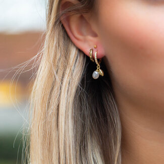 Beadle Bedel feestje