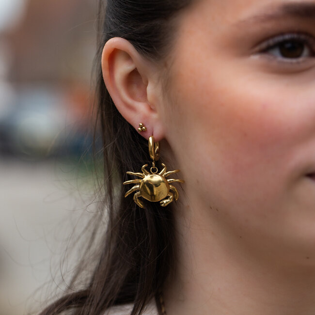 Day & Eve  Opvallende gouden oorbellen met grote krab