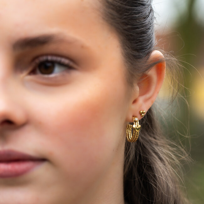 Oorbellen met speels hartje en goudkleurige details