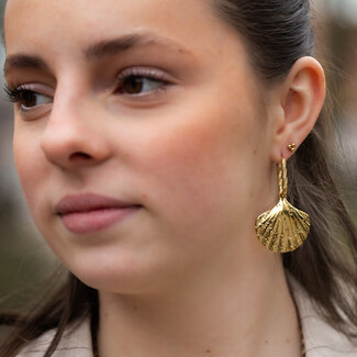 Day & Eve  Sunny shells