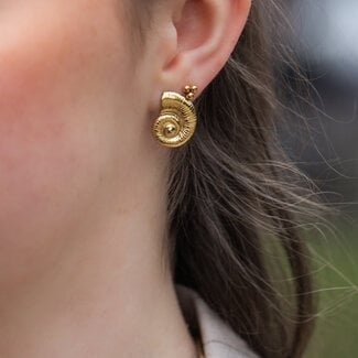 Day & Eve  Zee oorbellen