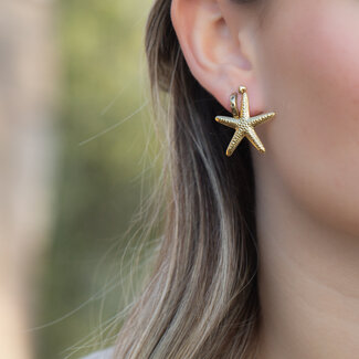 Biba Shine like SeaStar