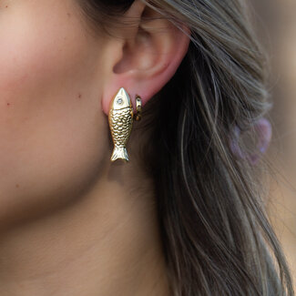 Biba Catch of the day