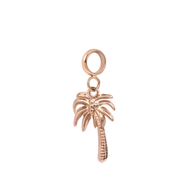 Sunset soul bedel schelp, zon of palmboom