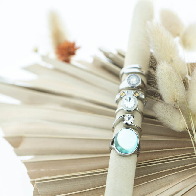 IXXXI Zilver fame ringen Stainless steel