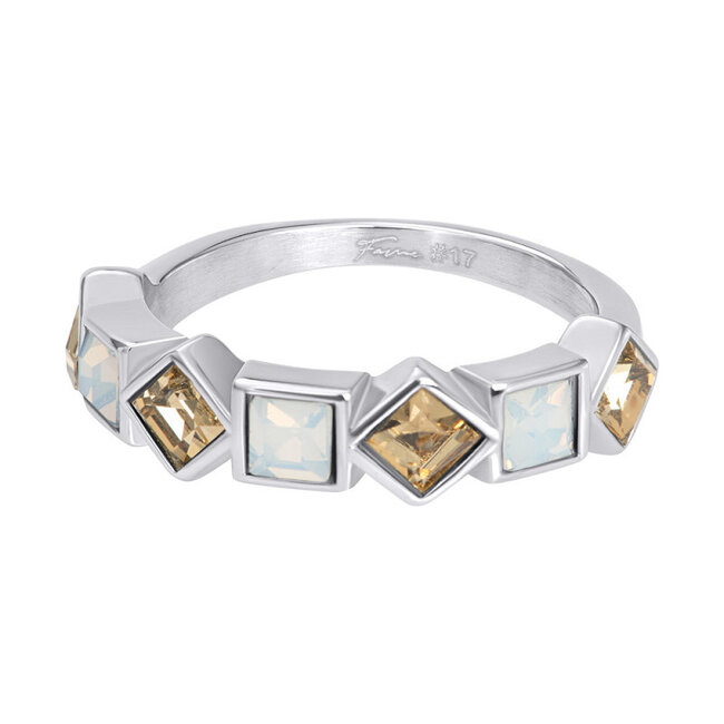 Zilver fame ringen Stainless steel