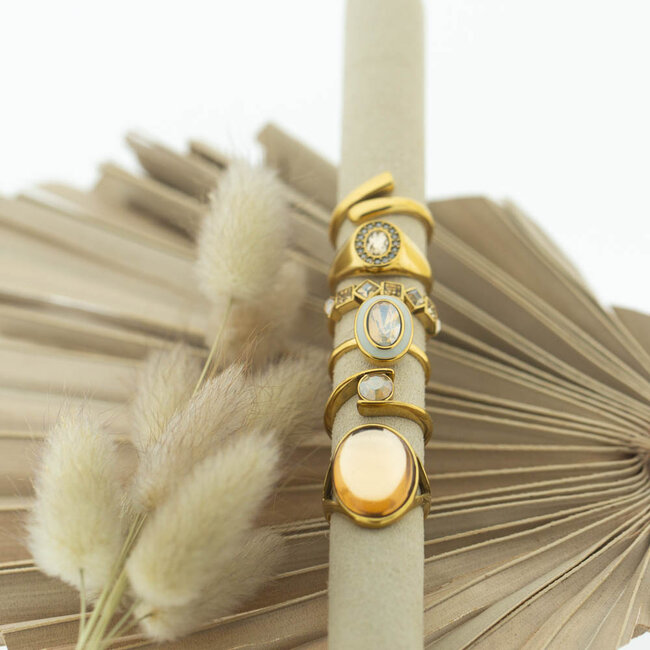 IXXXI Goud fame ringen Stainless steel