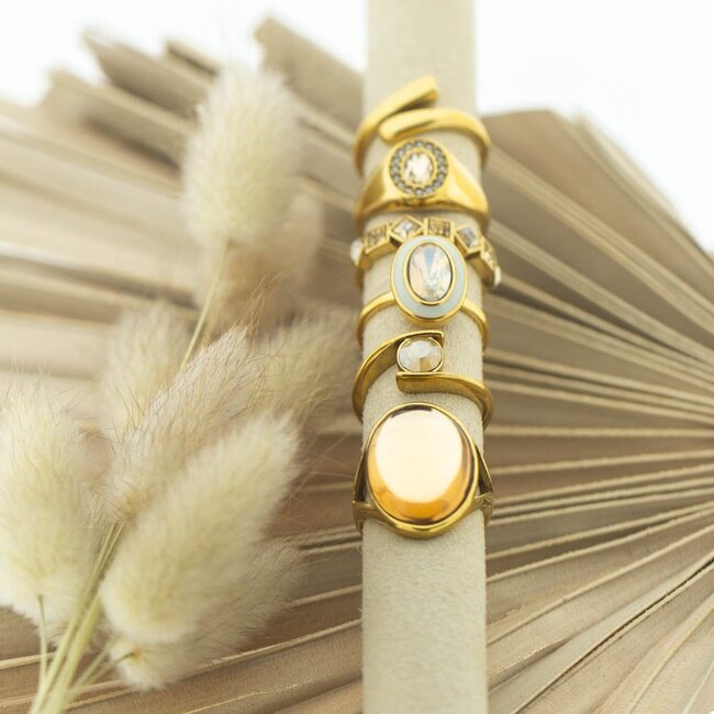 Goud fame ringen Stainless steel
