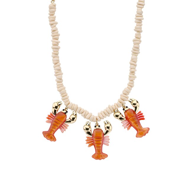 Opvallende strand sieraden met kreeft en zeester