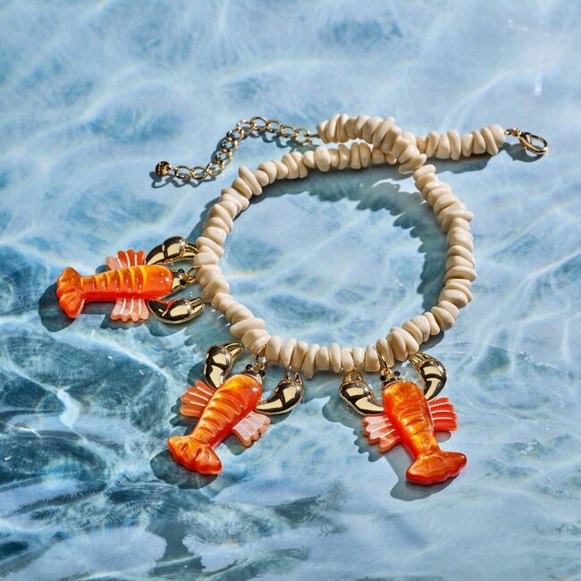 Opvallende strand sieraden met kreeft en zeester