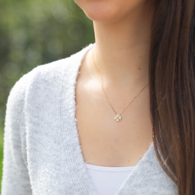 Goud lucky  klaver sparkle ketting