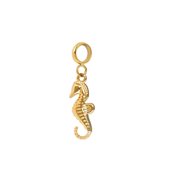 IXXXI Goud of zilver connect Zee bedels