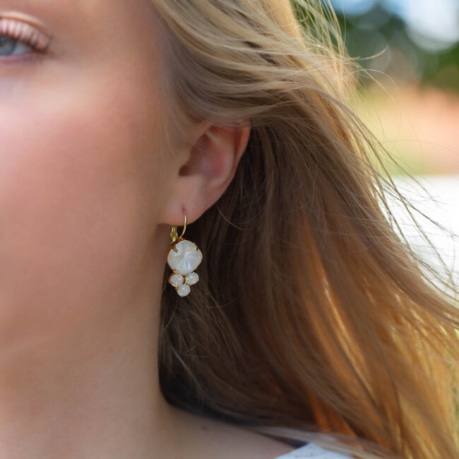Oorbellen met witte crystal steen en trosje steentjes