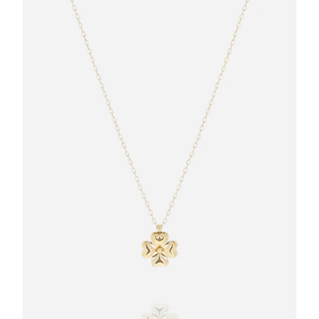 ZAG  Bijoux Stainless steel klaver ketting goud