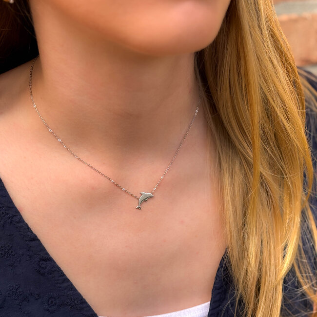 ketting zilver met dolfijn