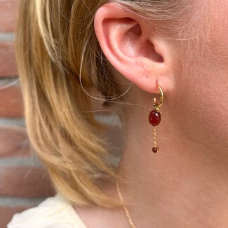 ZAG  Bijoux Carneool