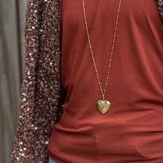 Biba Gouden ketting met medaillon in de vorm van een hart