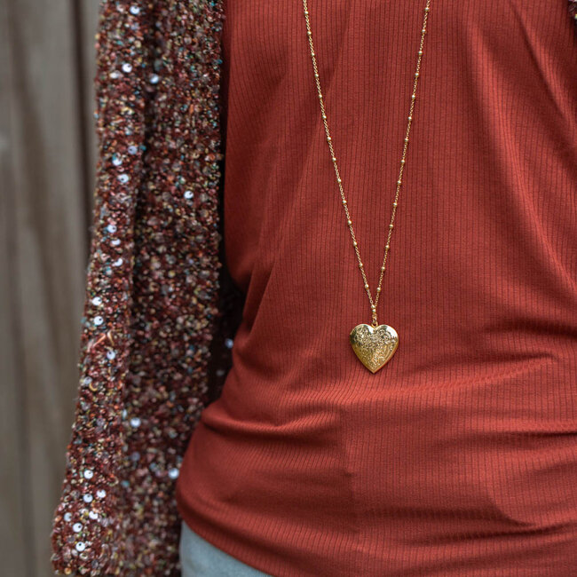 Biba Gouden ketting met medaillon in de vorm van een hart