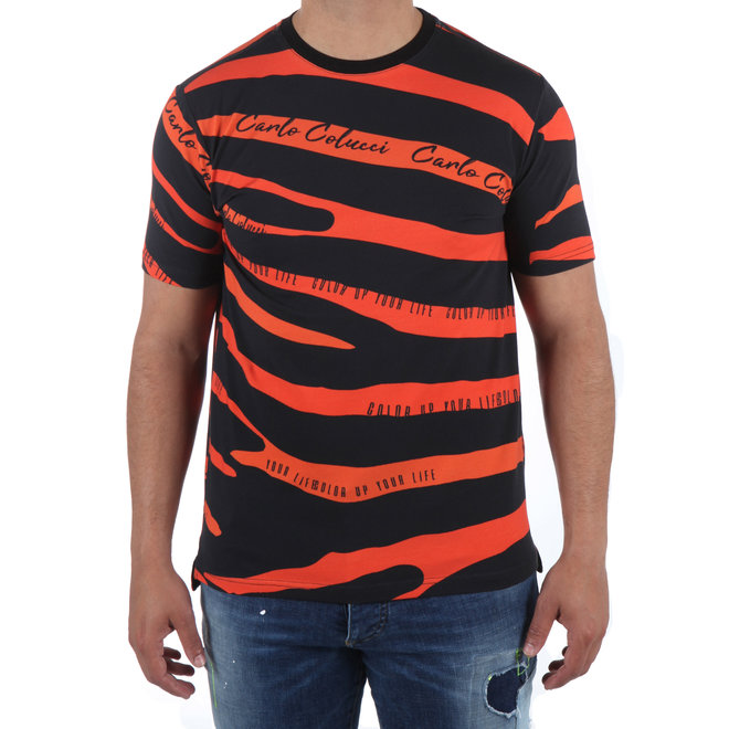 Carlo Colucci | Statement T-shirt 'Color up your life ...