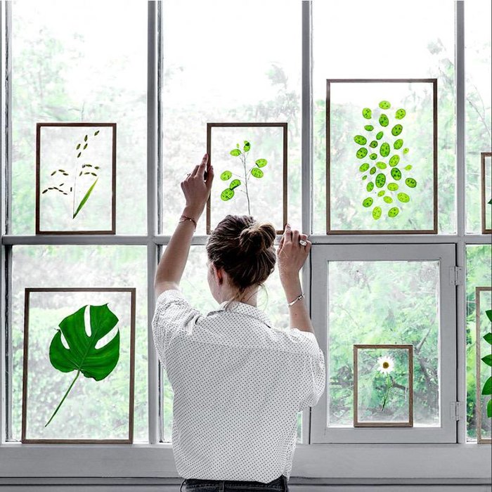 Moebe Kader Eik - Moebe