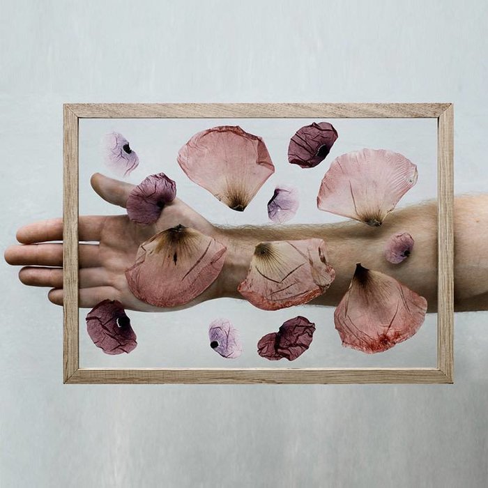 Moebe Kader Eik - Moebe