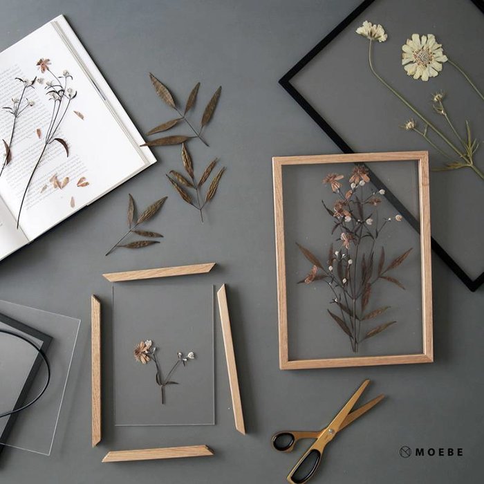 Moebe Kader Eik - Moebe