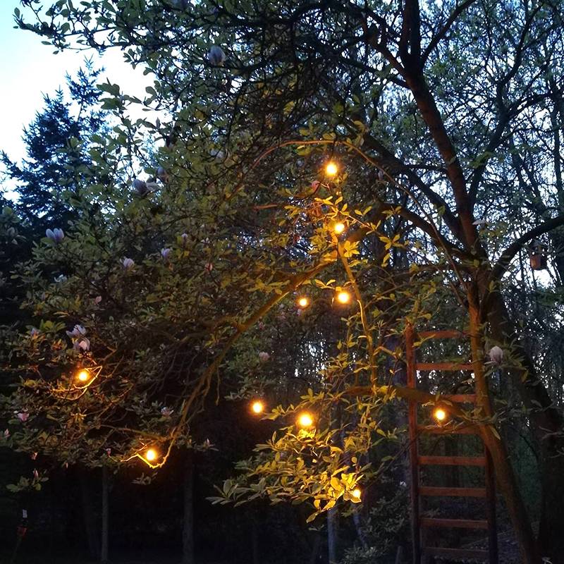 zangra LED Lichtslinger - Zangra