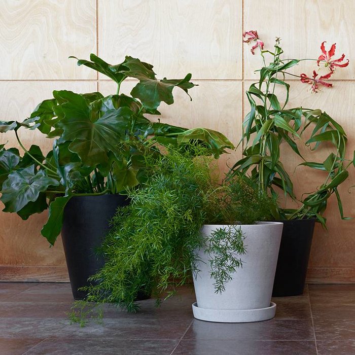 HAY Pot de fleurs avec échelle en polybéton