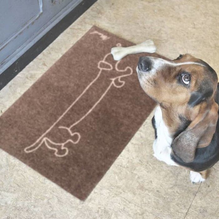 Mad About Mats Candy tapis dur - scraper 50 x 75