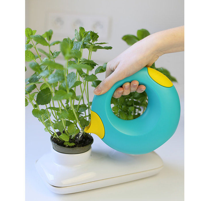 Quut Cana Arrosoir S 0.5L