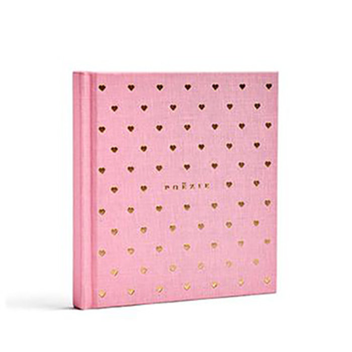 Stratier Livre d'amis poesie (NL)