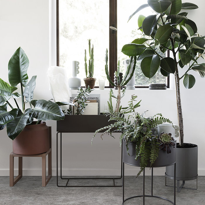 Fermliving Boîte de plante - large