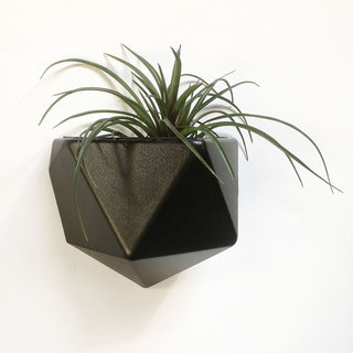 Groovy Magnets Magnetisch Wandbakje