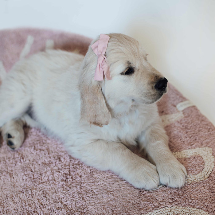 Lorena Canals ABC Vintage Nude Natural - tapis rond en coton lavable Ø150 cm