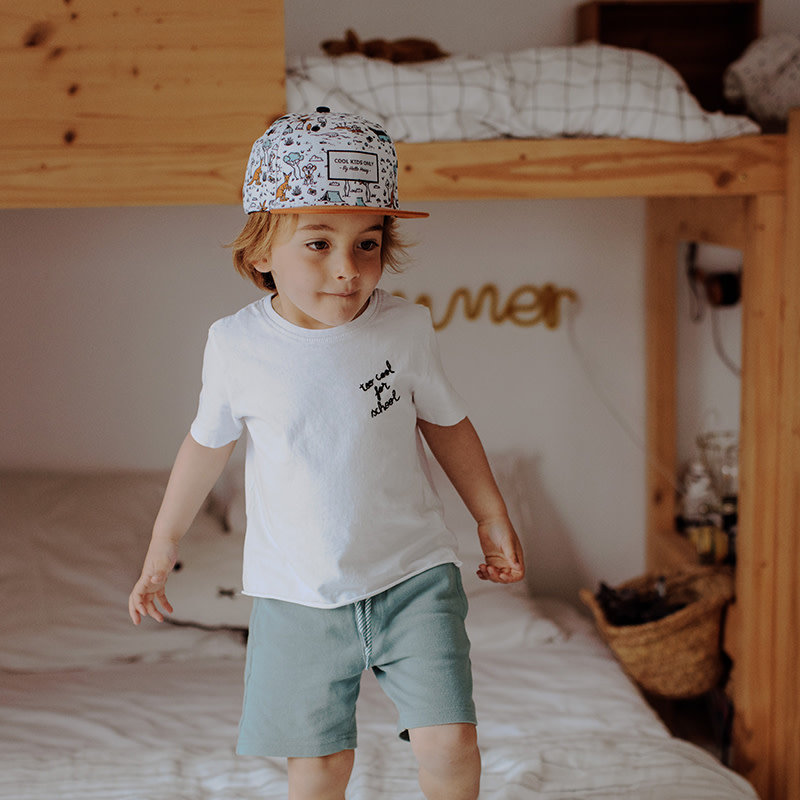 hello hossy Animal de compagnie Aussie 2-5 ans