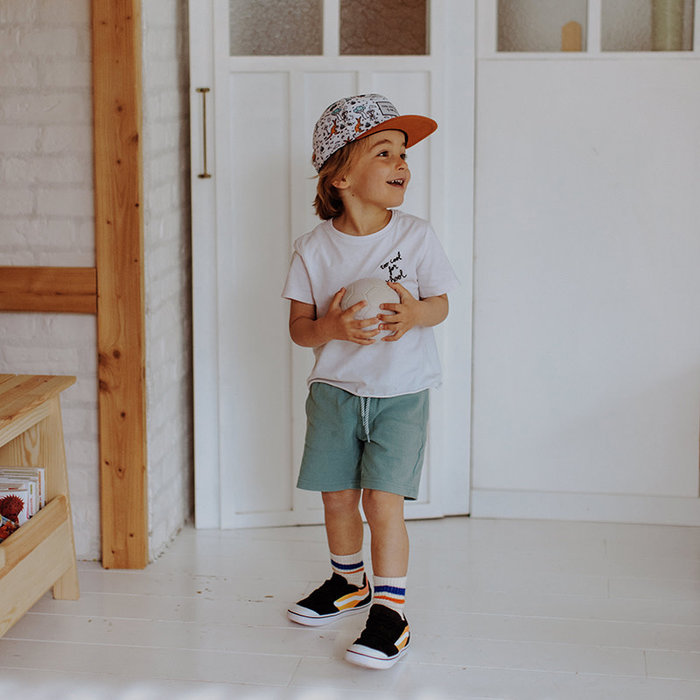 hello hossy Animal de compagnie Aussie 2-5 ans