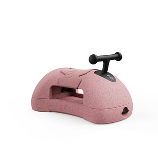 Scoot and Ride Step MyFirst