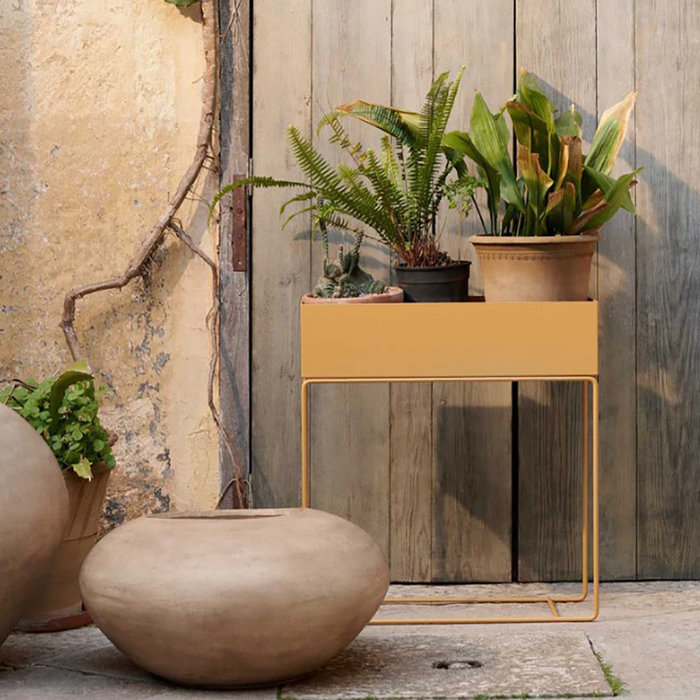 Fermliving Boîte de plante - large